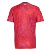 Costa Rica Koti Mm-Kisat 2026 - Jalkapallo Pelipaidat (S/S)